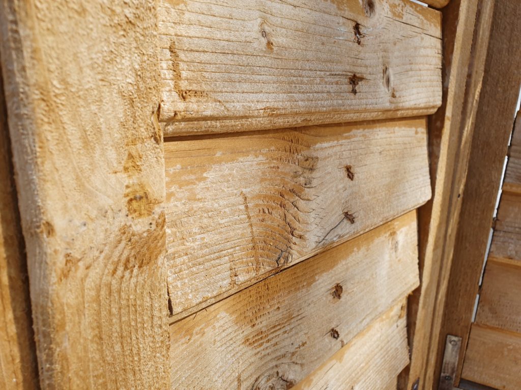 Pair of Rustic Pine Shutters