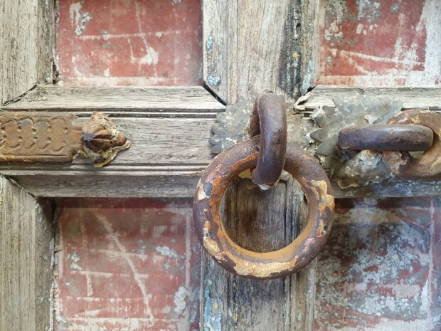 antique panelled hardwood doors decorative artefacts homewares