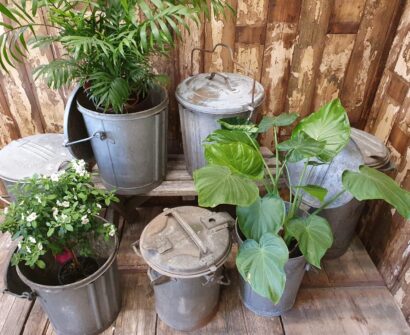 vintage galvanised dustbins garden planters
