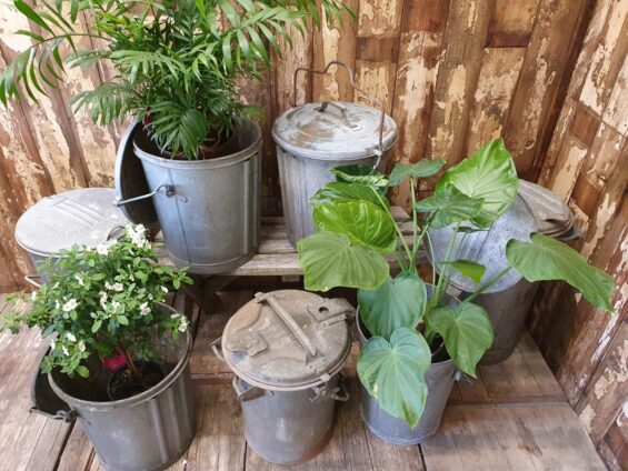 vintage galvanised dustbins garden planters