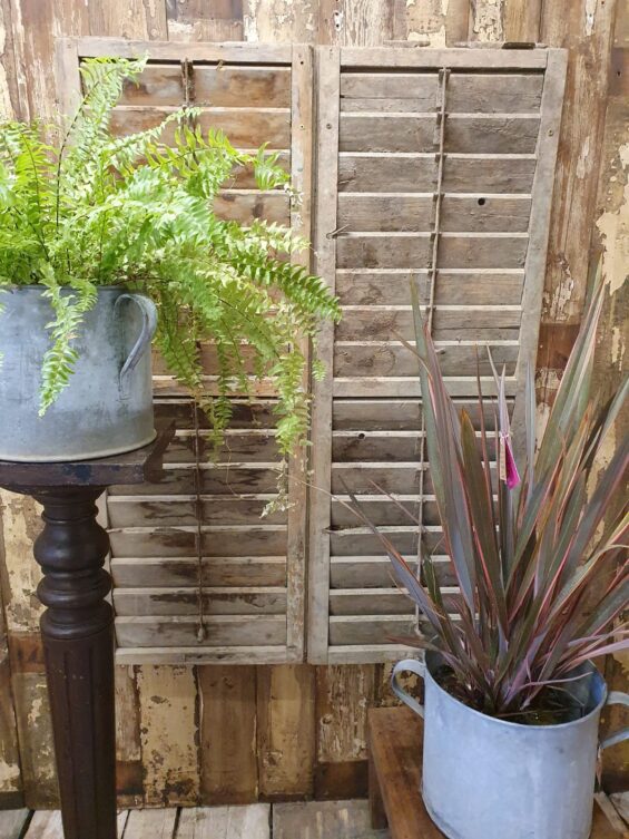 wooden window shutters decorative homewares garden