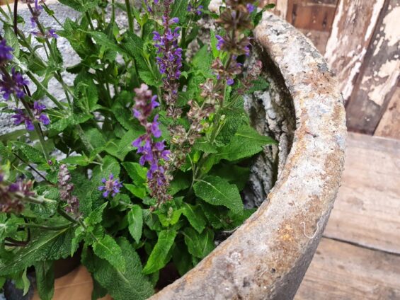 foundry crucible garden planters decorative homewares