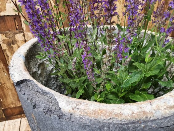foundry crucible garden planters decorative homewares