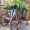 european wooden dog cart garden decorative decorative homewares artefacts