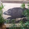 framed vintage wild boar target wall art decorative