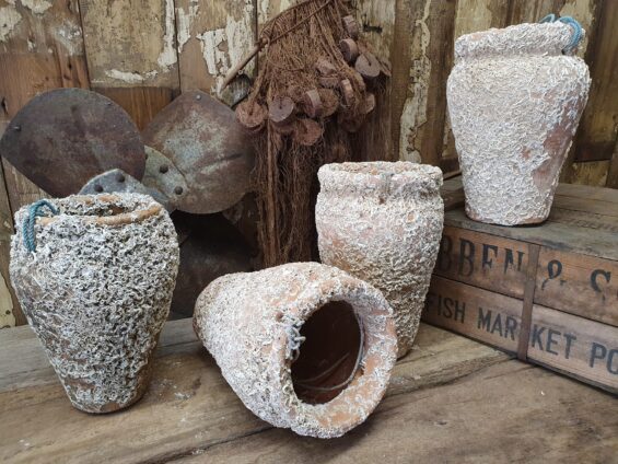 terracotta squid pots decorative homewares artefacts garden decorative planters