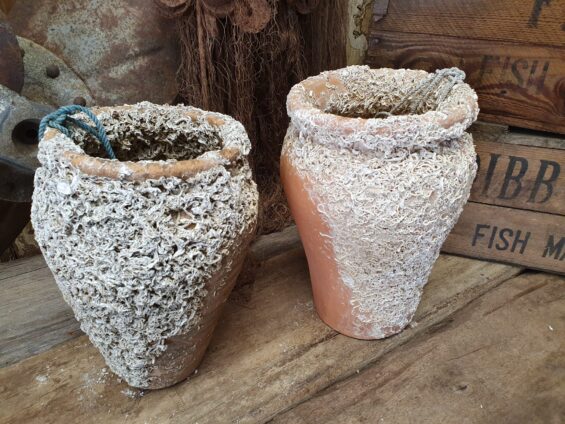 terracotta squid pots decorative homewares artefacts garden decorative planters