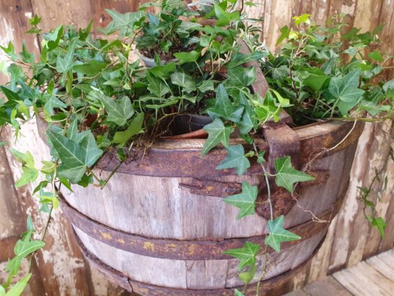 wooden metal well bucket garden planters decorative artefacts