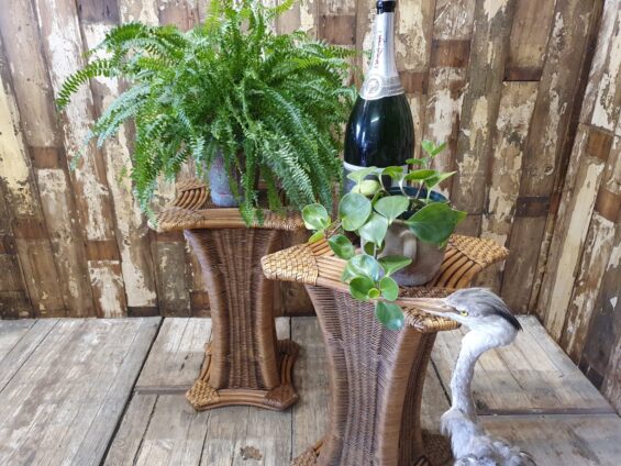 rattan plant stands decorative homewares garden