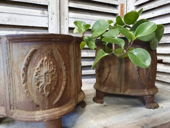 cast iron urns planters garden decorative homewares