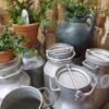 steel milk churns garden planters decorative homewares