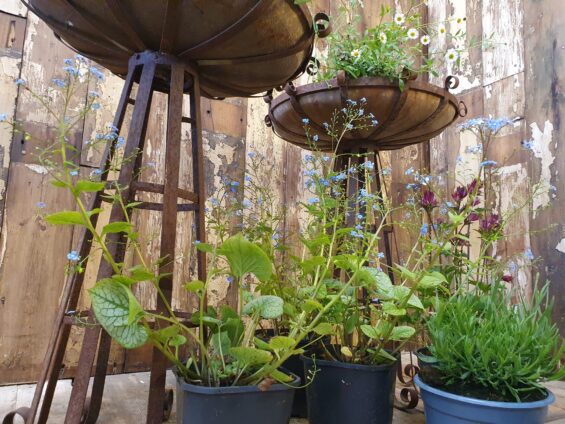 metal plant stands garden planters decorative homewares