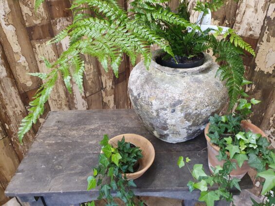 clay pots garden planters homewares