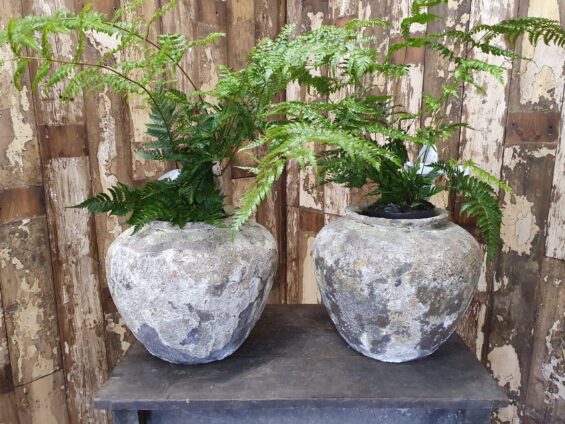 clay pots garden planters homewares