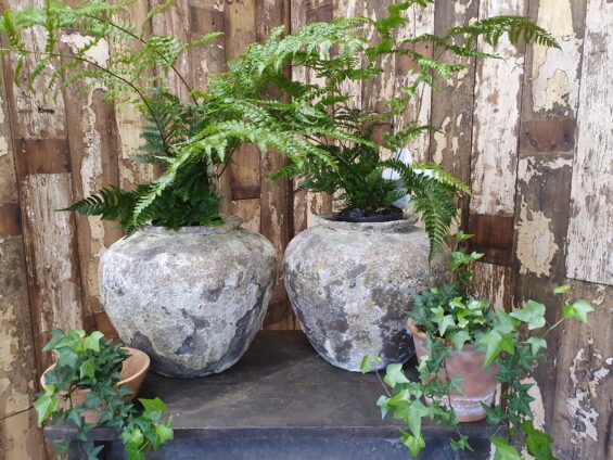 clay pots garden planters homewares