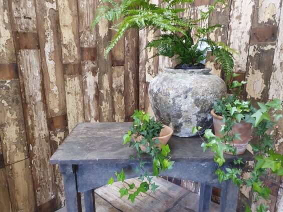 clay pots garden planters homewares