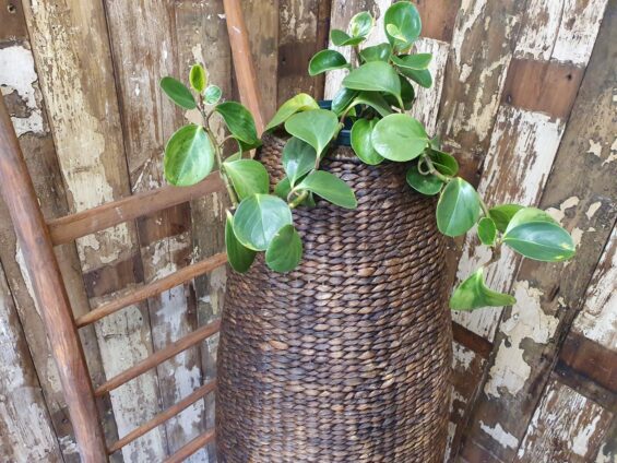 jute vase decorative homeware garden