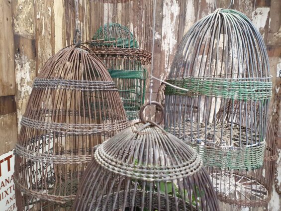 wirework bird cages decorative homewares garden