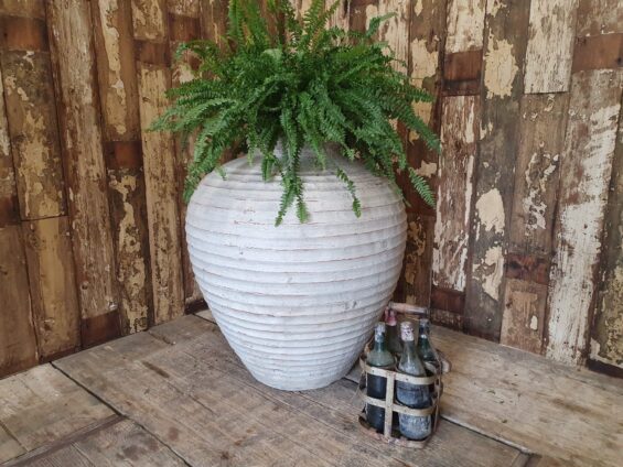 terracotta oil pot planter garden planters decorative homewares