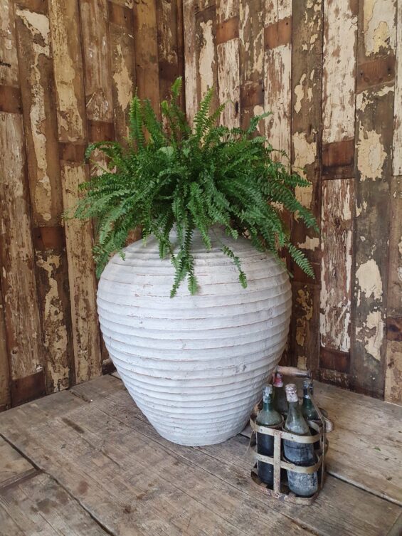 terracotta oil pot planter garden planters decorative homewares