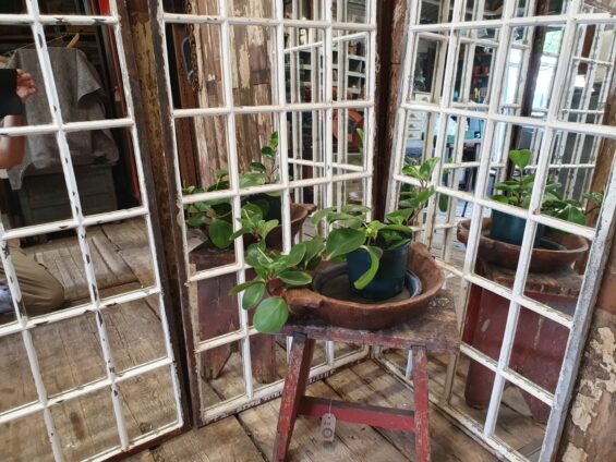 cast iron window mirrors garden