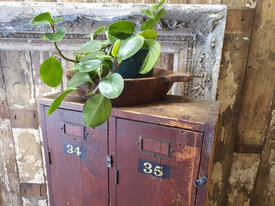 wooden double lockers furniture storage