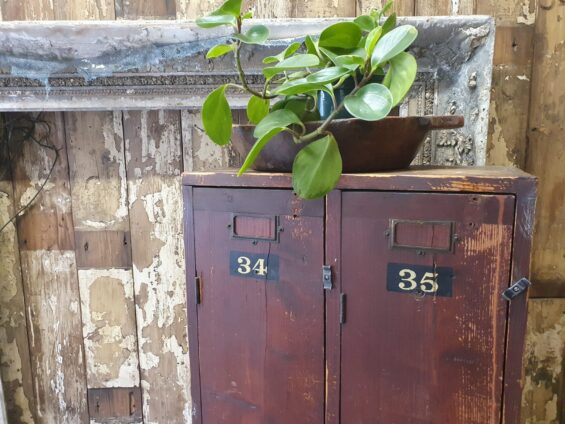 wooden double lockers furniture storage