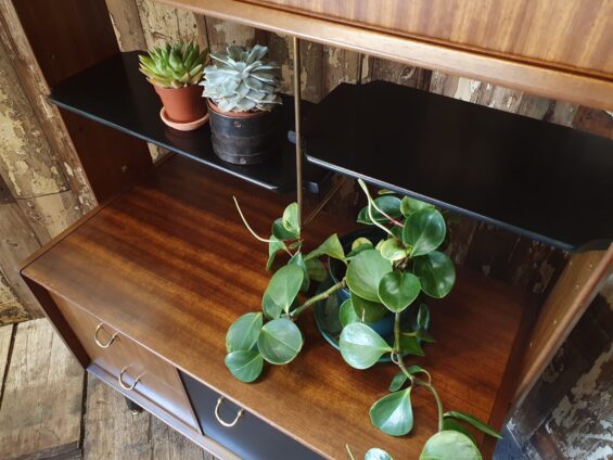 teak ebonised room divider furniture storage cupboards and cabinets