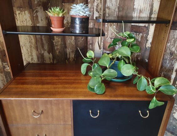 teak ebonised room divider furniture storage cupboards and cabinets