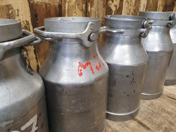 steel milk churns garden planters decorative homewares