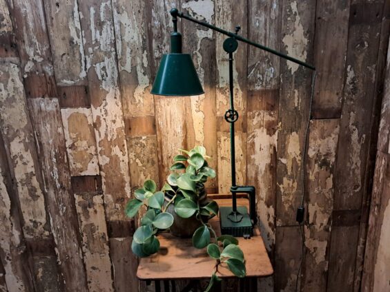 metal industrial anglepoise table lamp lighting