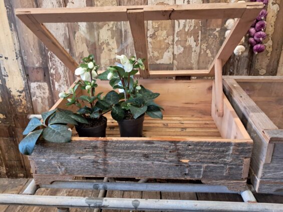 wooden coldframe garden planters decorative homewares