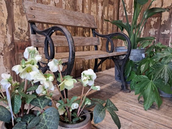 cast iron oak bench garden furniture