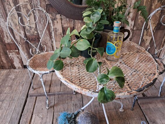 round metal table and chairs steel mesh garden furniture