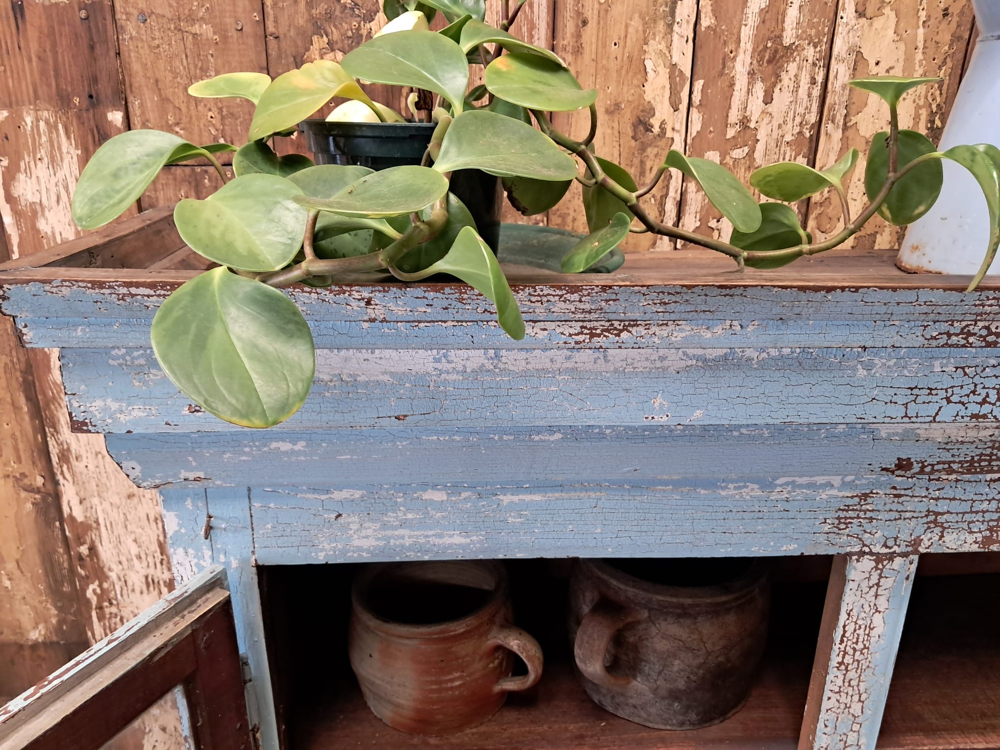 painted pine glazed cabinet furniture cupboards and cabinets