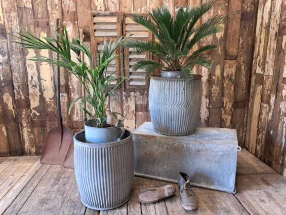 galvanised metal dolly tubs garden planters homewares