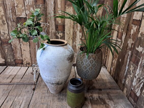 terracotta whitewash olive oil pot garden planters decorative homewares