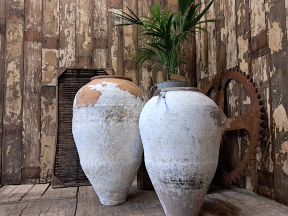 terracotta whitewash olive oil pot garden planters decorative homewares