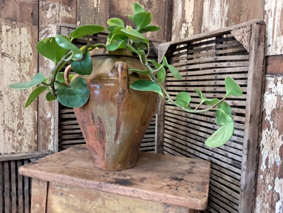 glazed terracotta spanish olive pot garden planters decorative homewares