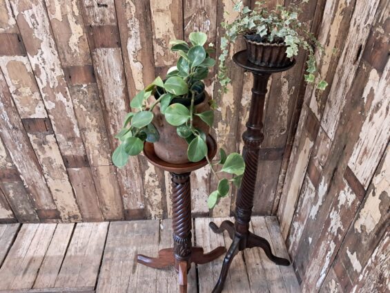 mahogany display stand pedestal torchere decorative homewares