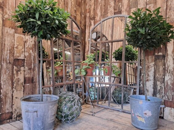 cast iron arch top window mirror mirrors garden