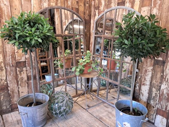 cast iron arch top window mirror mirrors garden