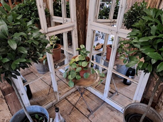 german wooden mirrored window mirrors garden
