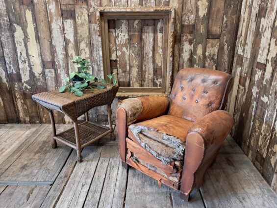 leather cigar cub chair seating armchairs