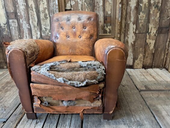 leather cigar cub chair seating armchairs