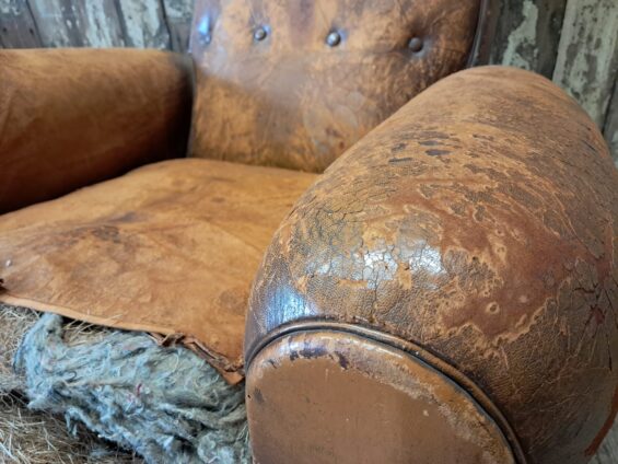 leather cigar cub chair seating armchairs