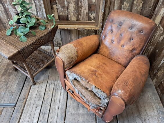 leather cigar cub chair seating armchairs