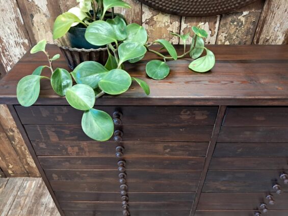 wooden collectors drawer unit furniture drawers