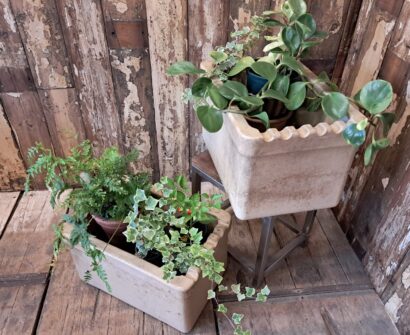 salt glaze ceramic tanks troughs decorative homewares garden planters