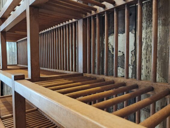 a 3 tier pine plate rack furniture storage homewares